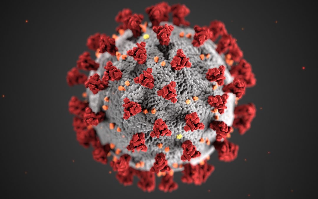 Internet ai tempi del coronavirus